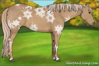 Horse Color:Palomino Ice 