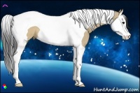 Horse Color:Brown Dun Splash Tobiano 
