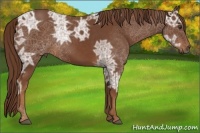 Horse Color:Chestnut Ice 