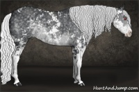 Horse Color:Silver Black Chinchilla Sabino 