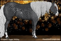 Horse Color:Silver Black Chinchilla Sabino