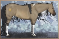 Horse Color:Brown Dun Tobiano 