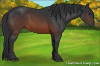 Horse Color:Brown 