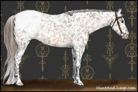 Horse Color:Buckskin Roan Snowcap 