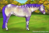 Horse Color:Watercolor White Spotted Buckskin Onyx 