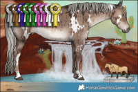 Horse Color:White Spotted Liver Red Dun Mushroom Brindle