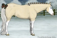 Horse Color:Silver Buckskin Roan Splash 