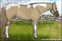 Horse Color:Liver Red Dun Tobiano Rabicano 