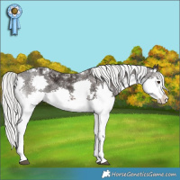 Horse Color:White Spotted Liver Chestnut Ice Mushroom Splash Tobiano Rabicano 