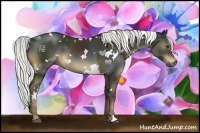 Horse Color:White Spotted Liver Chestnut Rabicano 