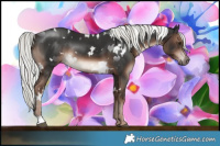 Horse Color:White Spotted Liver Chestnut Mushroom Rabicano