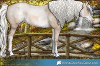 Horse Color:White Spotted Liver Red Dun Pearl Mushroom Tobiano 