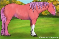 Horse Color:Watercolor Liver Chestnut Rabicano 