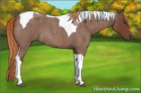Horse Color:Red Roan Tobiano 