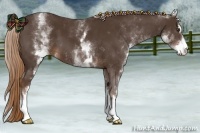 Horse Color:White Spotted Liver Chestnut Sabino 
