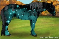 Horse Color:ERROR: UNKNOWN ANOMALY and ERROR: UNKNOWN ANOMALY