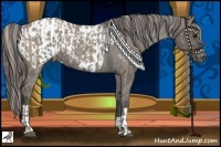 Horse Color:Silver Grullo Rabicano  and Grullo Blanket 