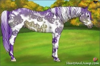 Horse Color:Watercolor Bay Sabino Frame 