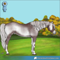Horse Color:Chocolate Silver Blue Onyx Chinchilla Brindle