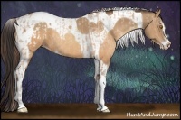 Horse Color:Sable Champagne Sabino Tobiano Appaloosa  and Sable Champagne Sabino Tobiano 
