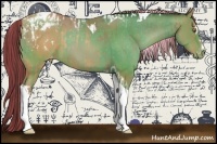 Horse Color:Painted Sable Champagne Sabino Tobiano Varnish  and Painted Sable Champagne Sabino Tobiano Varnish 
