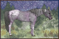 Horse Color:Black Tobiano Varnish 