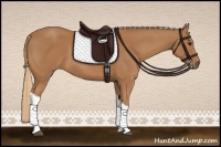 Horse Color:Chestnut Tobiano