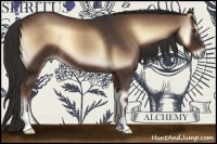 Horse Color:Liver Red Onyx