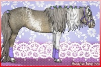 Horse Color:White Spotted Chocolate Palomino Sabino 