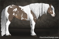 Horse Color:White Spotted Brown Pearl Dun Splash Tobiano Rabicano