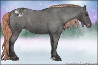 Horse Color:Liver Chestnut Appaloosa Rabicano 