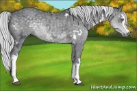 Horse Color:White Spotted Silver Black Chinchilla Ice 