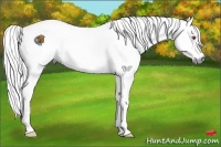 Horse Color:White Spotted Liver Red Dun Chinchilla Onyx 