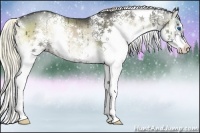 Horse Color:White Spotted Liver Red Onyx Splash Rabicano 