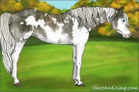 Horse Color:White Spotted Chocolate Palomino Ice Splash