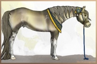 Horse Color:White Spotted Liver Red Onyx Sabino 