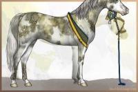 Horse Color:White Spotted Chocolate Palomino Ice Dun Splash 