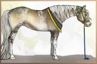 Horse Color:White Spotted Liver Red Onyx 