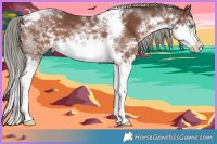 Horse Color:Liver Chestnut Mushroom Splash Tobiano 