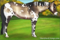 Horse Color:White Spotted Brown Onyx Rabicano 