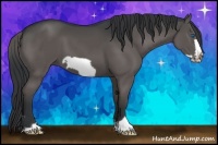 Horse Color:Black Frame 