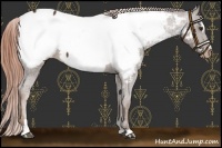 Horse Color:Liver Chestnut Sabino Near Fewspot 