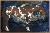 Horse Color:White Spotted Liver Chestnut 