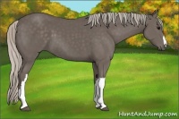 Horse Color:Silver Black 