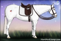 Horse Color:Chocolate Palomino Splash Appaloosa 