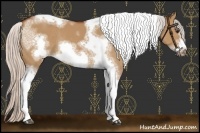 Horse Color:Silver Bay Dun Sabino Tobiano Frame Rabicano 