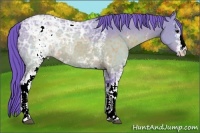 Horse Color:Watercolor White Spotted Buckskin Ice