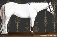 Horse Color:White Spotted Liver Chestnut Appaloosa 