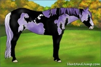 Horse Color:Watercolor Smoky Black Splash Tobiano 
