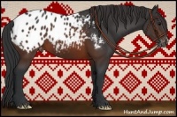 Horse Color:Brown Appaloosa 